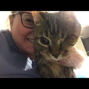 Meet your Posher, Amy